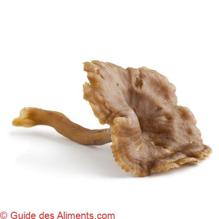 Chanterelle grise