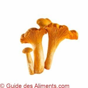 Chanterelles ou girolles