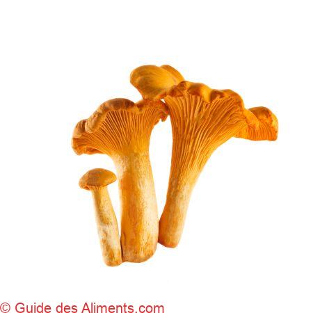 Chanterelles ou girolles