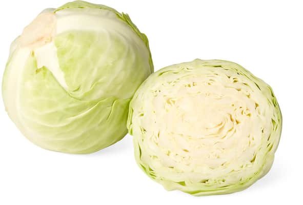 chou blanc, chou cabus ou chou pommé