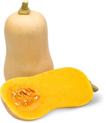 Courge Butternut