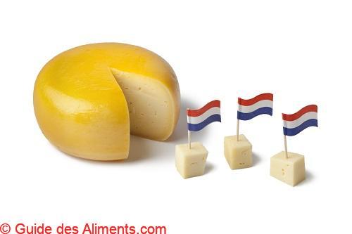 Gouda