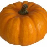 Jack be Little, Mini Jack, Pomarine