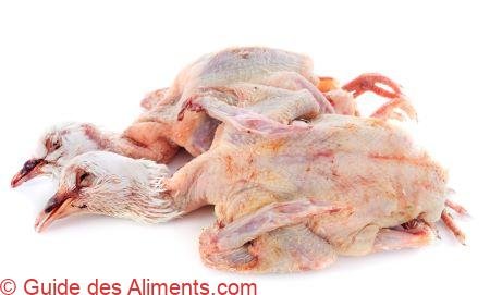 Pigeon