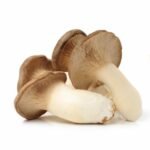 Pleurotus eryngii