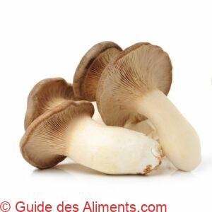 Pleurotus eryngii