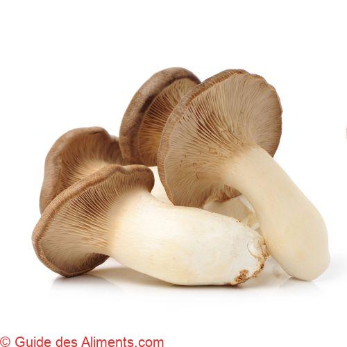 Pleurotus eryngii