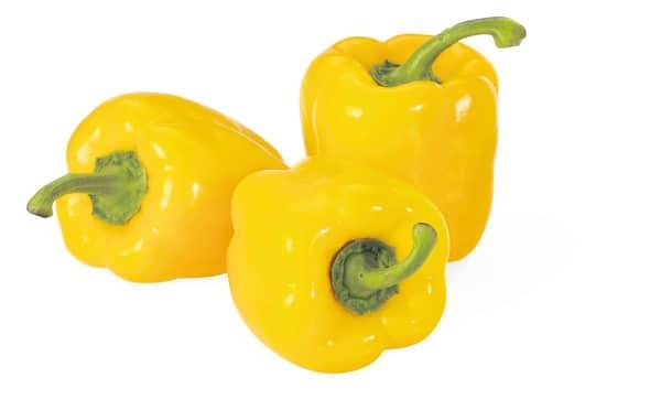 Poivron jaune