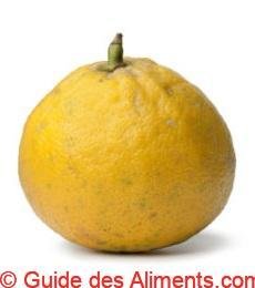 Bergamote