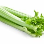 céleri branche