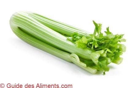 céleri branche
