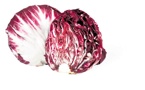 chicorée rouge