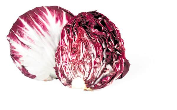 chicorée rouge