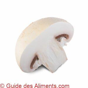 champignon de paris