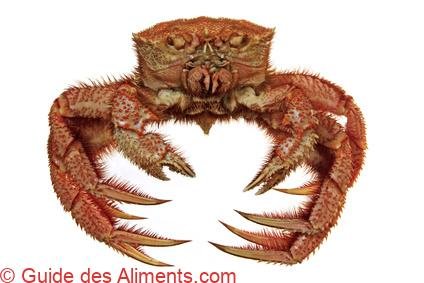 crabe chinois