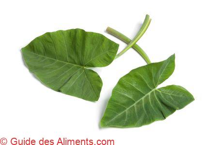 feuille de taro