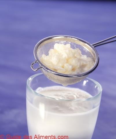 kéfir