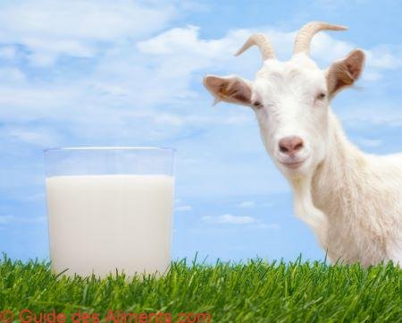 lait de chèvre
