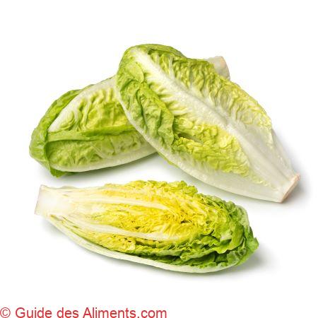 laitue romaine