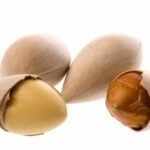 Noix de ginkgo