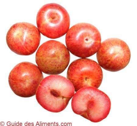 pluot