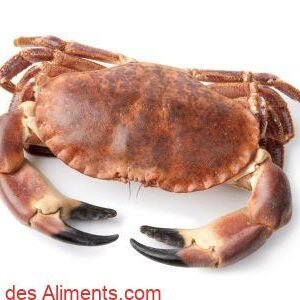 tourteau