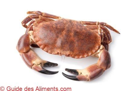 tourteau