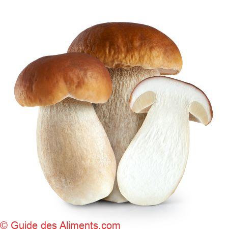Boletus edulis