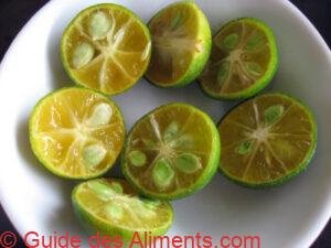 Calamansi