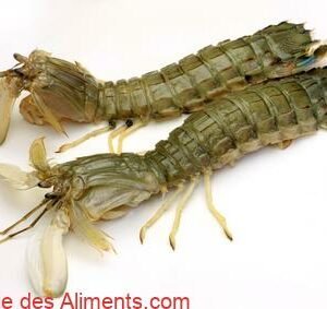 Crevette-mante