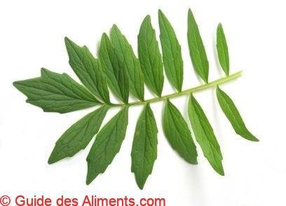 Valériane