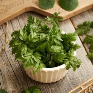cerfeuil sauvage (Anthriscus sylvestris)