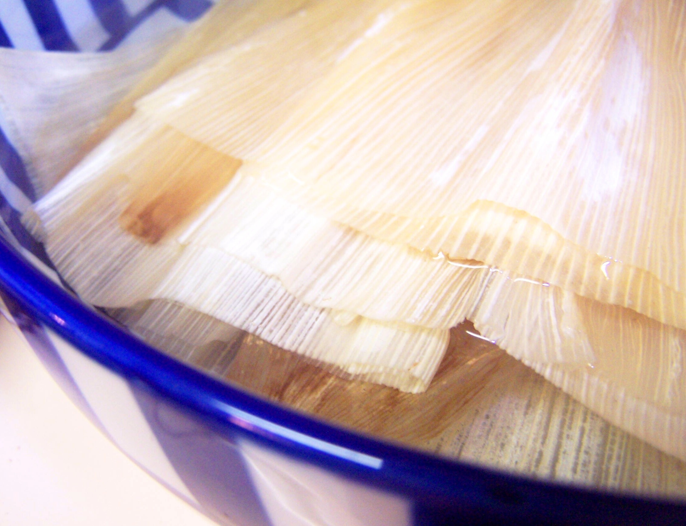 Feuille de ma&iuml;s