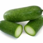 courge cireuse Benincasa hispida