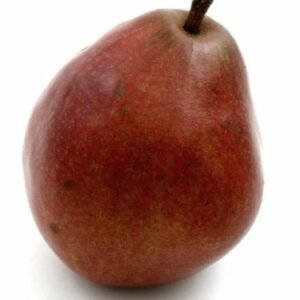 poire rouge d'Anjou