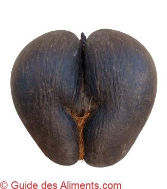 Coco de mer