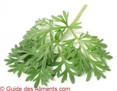 Absinthe (herbe)