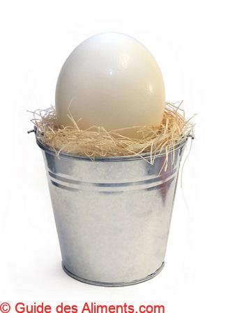 oeuf d'autruche