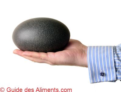 oeuf d’émeu