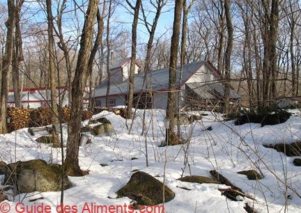 cabane à sucre