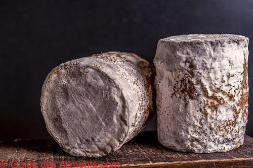 Charolais