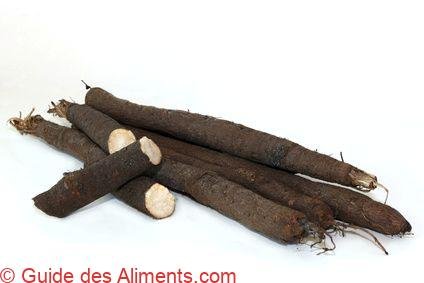 Scorsonère