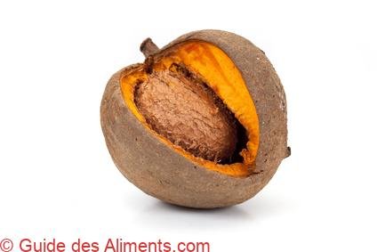 abricot-pays