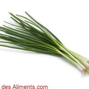 ciboule
