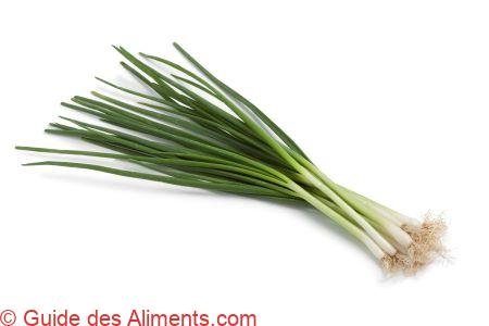 ciboule