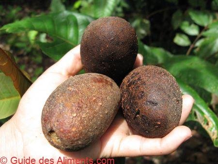 Acioa edulis