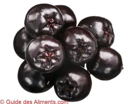 aronia