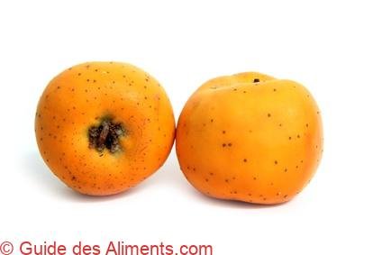 Aubépine du Mexique