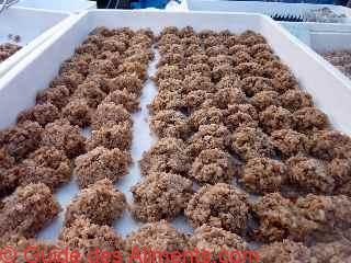 Bonbon coco (au coco râpé)