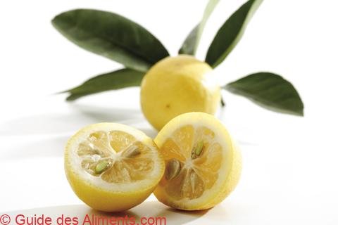 Eustis Limequat
